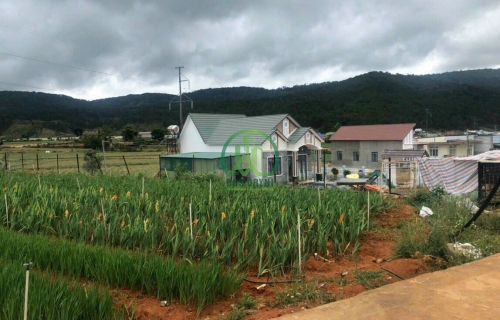 CẦN BÁN ĐẤT CHÂN ĐÈO PREN HIỆP AN - ĐỨC TRỌNG - LÂM ĐỒNG