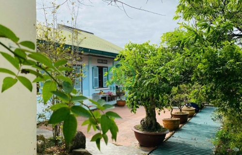 CẦN BÁN NHÀ ĐƯỜNG HÙNG VƯƠNG, PHƯỜNG 10, TP. ĐÀ LẠT