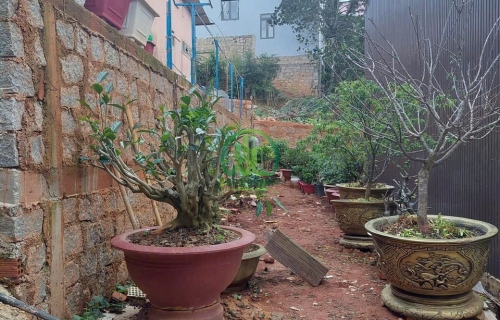 CẦN BÁN ĐẤT ĐƯỜNG CAO THẮNG, PHƯỜNG 6, TP. ĐÀ LẠT