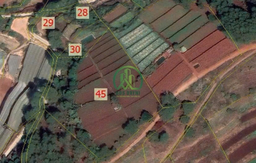 CẦN BÁN LÔ ĐẤT ĐẸP XUÂN THỌ - PHƯỜNG XUÂN TRƯỜNG - ĐÀ LẠT