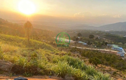 CẦN BÁN 10 LÔ ĐẤT FO XÃ ĐÔNG THANH - LÂM HÀ - LÂM ĐỒNG