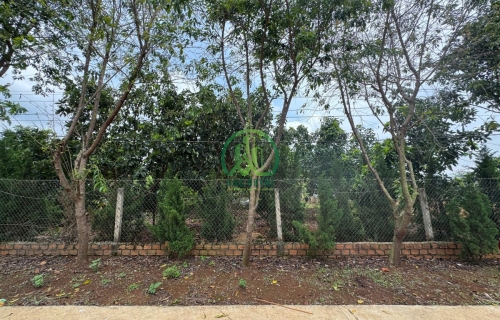 CẦN BÁN 2400 M2 ĐẤT TẠI THANH HÀ - ĐÔNG THANH - LÂM HÀ