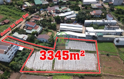 CẦN BÁN ĐẤT NGAY CHỢ ĐẦU MỐI LIÊN HIỆP ĐỨC TRỌNG- LÂM ĐỒNG