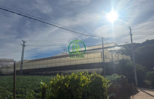 CẦN BÁN ĐẤT NÔNG NGHIỆP XÃ LÁT-LẠC DƯƠNG