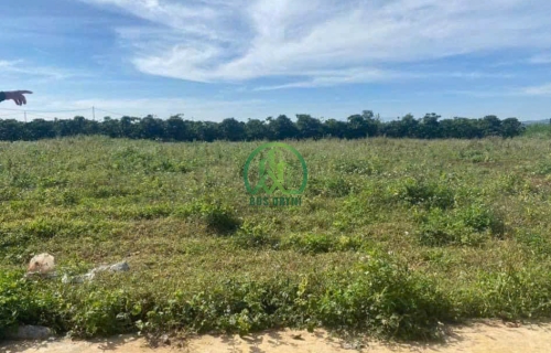 CẦN BÁN LÔ ĐẤT THỊ TRẤN ĐINH VĂN - LÂM HÀ