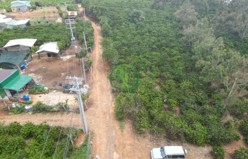 CẦN BÁN GẤP ĐẤT NINH GIA - ĐỨC TRỌNG