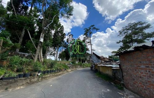 CẦN BÁN NHÀ ĐẤT ĐƯỜNG HỒ TÙNG MẬU - P3 - ĐÀ LẠT