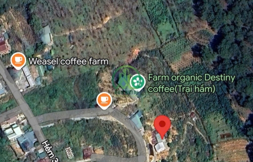 CẦN BÁN NHÀ ĐẤT VIEW THÔNG HOÀNG HOA THÁM- P10- ĐÀ LẠT