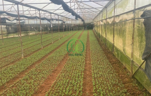 CẦN BÁN NHÀ ĐẤT 2 MẶT HẺM PHƯỜNG 12 - ĐÀ LẠT