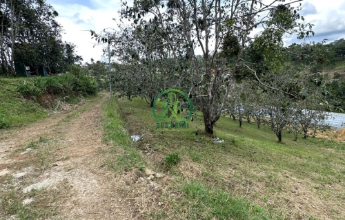 CẦN BÁN ĐẤT NÔNG NGHIỆP VƯỜN HỒNG CỔ CHÍNH CHỦ