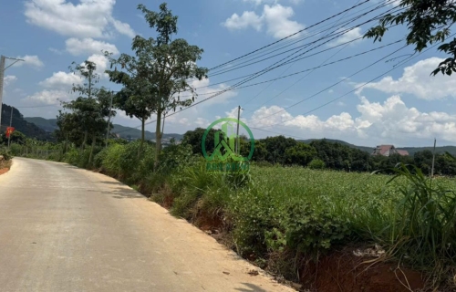  LÔ ĐẤT XÃ TÀ NUNG - ĐÀ LẠT - LÂM ĐỒNG