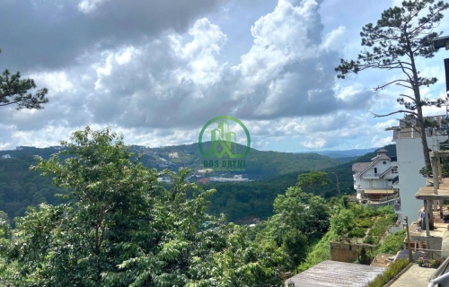 Cần bán nhà có chiếc view thông cực chill mặt tiền đường Hoàng Hoa Thám-P10-Đà Lạt