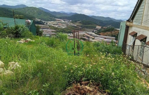 CẦN BÁN ĐẤT MẶT ĐƯỜNG VIEW ĐẸP -XUÂN THÀNH - PHƯỜNG XUÂN TRƯỜNG - ĐÀ LẠT