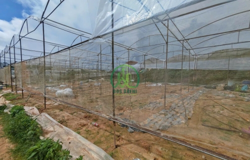 CẦN BÁN LÔ ĐẤT NÔNG NGHIỆP ĐƯỜNG AN TÔN - P5 - ĐÀ LẠT