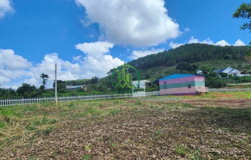 BÁN ĐẤT TẶNG NHÀ VIEW ĐẸP GIÁ TỐT TẠI NAM BAN - LÂM HÀ