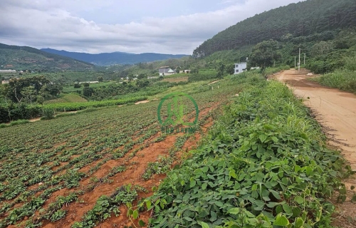 MỞ BÁN ĐẤT PHÂN LÔ F0 - MÊ LINH - LÂM HÀ