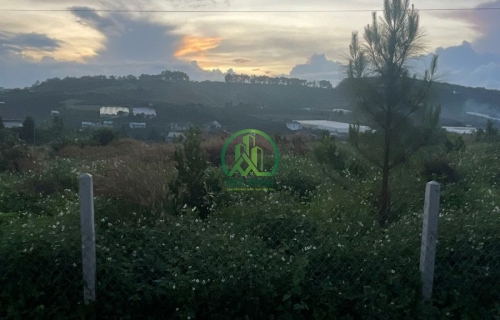 BÁN ĐẤT GIÁ TỐT TẠI MÊ LINH - LÂM HÀ