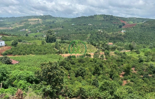 BÁN ĐẤT NGHỈ DƯỠNG TDP CHI LĂNG - THỊ TRẤN NAM BAN - LÂM HÀ