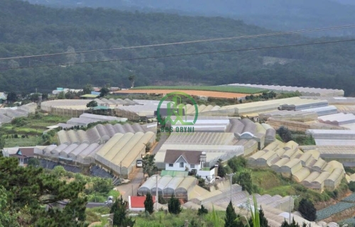 CẦN BÁN LÔ ĐẤT 2 MẶT TIỀN VIEW ĐẸP TẠI XUÂN THỌ - PHƯỜNG XUÂN TRƯỜNG