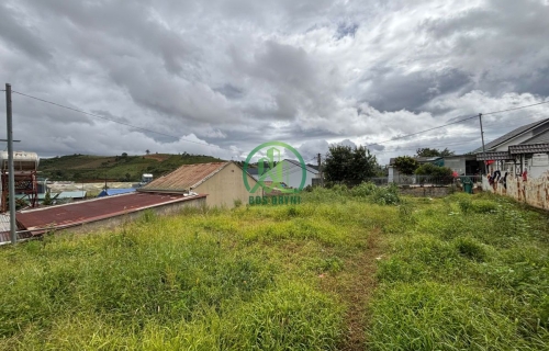 CƠ HỘI SỞ HỮU ĐẤT ĐẸP TẠI LẠC DƯƠNG - LÂM ĐỒNG 