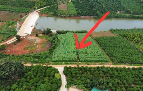 BÁN LÔ ĐẤT ĐẸP TẠI ĐAN PHƯỢNG - LÂM HÀ - LÂM ĐỒNG