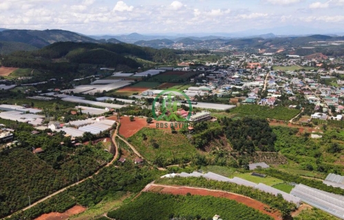 CẦN BÁN GẤP LÔ ĐẤT 3 MẶT TIỀN TẠI TÀ NUNG - PHƯỜNG CAM LY - ĐÀ LẠT