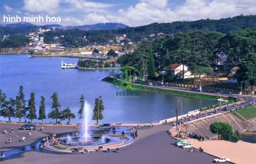 BÁN ĐẤT ĐẸP ĐỈNH ĐỒI SƯƠNG NGUYỆT ÁNH - ĐÀ LẠT