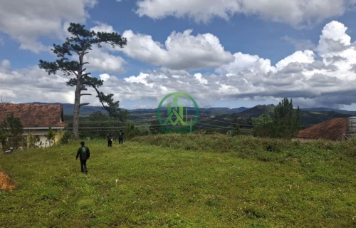 🌄 ĐẤT ĐẸP XÃ LÁT– LẠC DƯƠNG (P LANGBIANG)