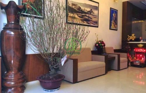 🏨 BÁN GẤP KHÁCH SẠN KQH HOÀNG VĂN THỤ- ĐÀ LẠT 🏨