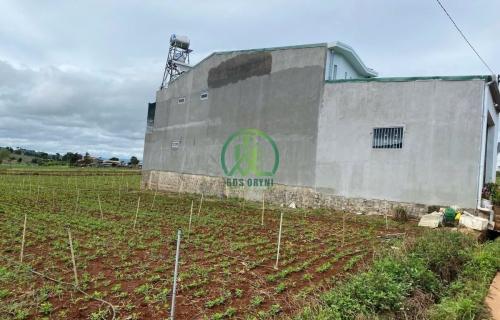  BÁN ĐẤT TRUNG TÂM THỊ TRẤN ĐỨC TRỌNG - LÂM ĐỒNG