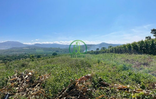 BÁN ĐẤT ĐẸP GIÁ TỐT TẠI NAM HÀ - LÂM HÀ - LÂM ĐỒNG