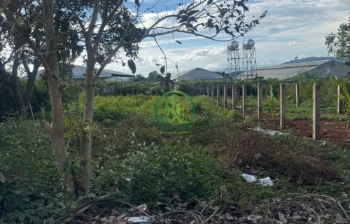 BÁN 2 LÔ ĐẤT THỔ CƯ LIỀN KỀ TẠI LIÊN HIỆP - ĐỨC TRỌNG - LÂM ĐỒNG