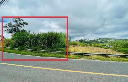 BÁN ĐẤT MẶT TIỀN ĐƯỜNG AN BÌNH (NAY LÀ TRIỆU VIỆT VƯƠNG) - P. XUÂN HƯƠNG - ĐÀ LẠT