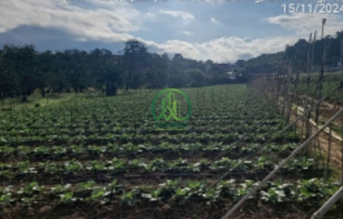 🌿 BÁN LÔ ĐẤT ĐẸP GIÁ TỐT TẠI ĐƠN DƯƠNG - LÂM ĐỒNG 🌿