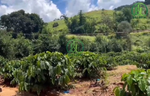 CẦN BÁN 1458 M2 ĐẤT NAM BAN- LÂM HÀ