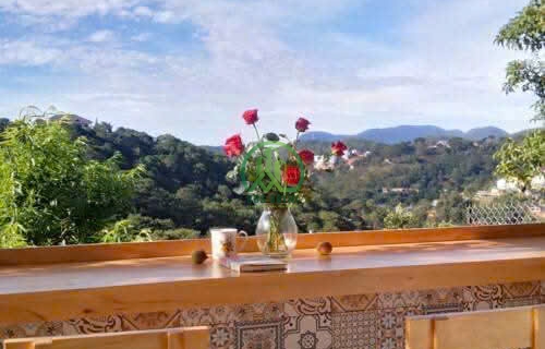 GIẢM GIÁ GẤP– CHỈ CÒN 5 TỶ | NHÀ SÂN VƯỜN TRUNG TÂM Đà Lạt 🔥