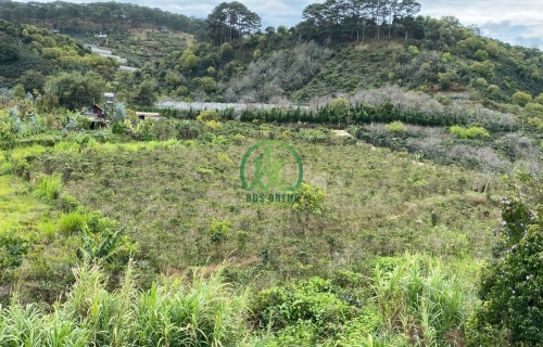 HẠ GIÁ BÁN LÔ ĐẤT SIÊU ĐẸP XUÂN SƠN– XUÂN TRƯỜNG– ĐÀ LẠT 🔥