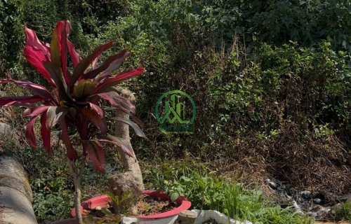 🏡 CẦN BÁN ĐẤT 2 MẶT HẺM 27 LÊ HỒNG PHONG, P. XUÂN HƯƠNG- ĐÀ LẠT