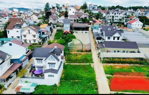 🏡 CẦN BÁN ĐẤT ĐƯỜNG VẠN HẠNH, P. LÂM VIÊN- ĐÀ LẠT