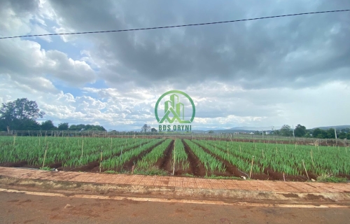 🏡 CẦN BÁN ĐẤT LÔ GÓC XÃ LIÊN HIỆP - ĐỨC TRỌNG