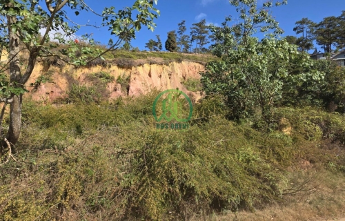 🏡 CẦN BÁN ĐẤT 2 MẶT TIỀN KQH MĂNG LIN, P. LANGBIANG - ĐÀ LẠT