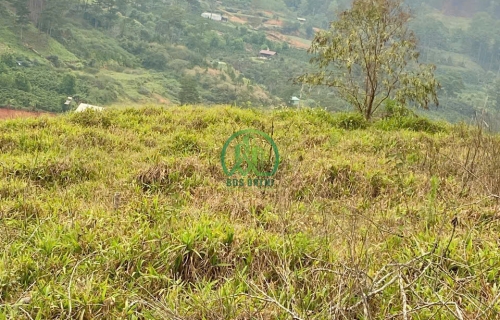 CẦN BÁN ĐẤT THÔN 1 - ĐASAR - LẠC DƯƠNG