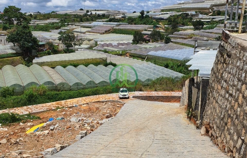 CẦN BÁN 521 M2 ĐẤT ĐƯỜNG HUỲNH TẤN PHÁT, P. XUÂN TRƯỜNG - ĐÀ LẠT (P11)