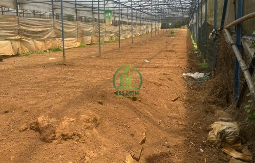 CẦN BÁN ĐẤT MẶT TIỀN NGUYỄN HOÀNG, P. LANGBIANG - ĐÀ LẠT (P7)