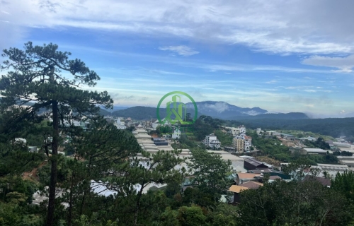 CẦN BÁN NHÀ ĐƯỜNG NGÔ THÌ SỸ PHƯỜNG XUÂN HƯƠNG- ĐÀ LẠT (P4) 