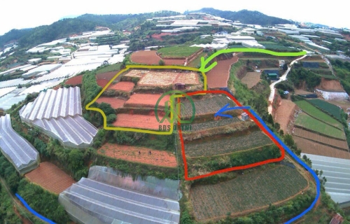 CẦN BÁN ĐẤT GẦN 4000 M2 PHƯỜNG LANGBIANG - ĐÀ LẠT (P7)