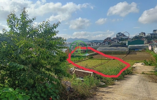 ĐẤT 2 MẶT TIỀN ĐƯỜNG HẺM TRẠNG TRÌNH – ĐÀ LẠT 
