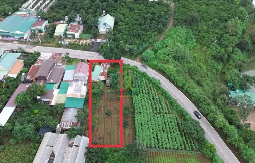 CẦN BÁN ĐẤT MẶT TIỀN TỈNH LỘ 725 PHƯỜNG CAM LY - ĐÀ LẠT (XÃ TÀ NUNG)